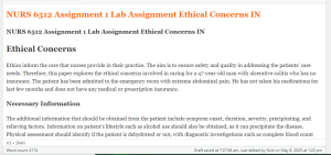 NURS 6512 Assignment 1 Lab Assignment Ethical Concerns IN