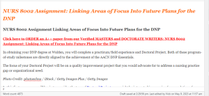 NURS 8002 Assignment: Linking Areas of Focus Into Future Plans for the DNP