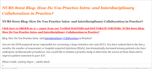 NURS 8002 Blog How Do You Practice Intra- and Interdisciplinary Collaboration in Practice