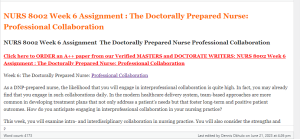 NURS 8002 Week 6 Assignment  The Doctorally Prepared Nurse Professional Collaboration