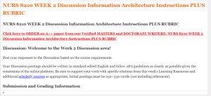 NURS 8210 WEEK 2 Discussion Information Architecture Instructions PLUS RUBRIC