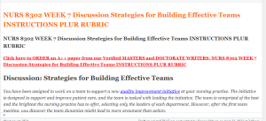 NURS 8302 WEEK 7 Discussion Strategies for Building Effective Teams INSTRUCTIONS PLUR RUBRIC