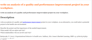 write an analysis of a quality and performance improvement project in your workplace.