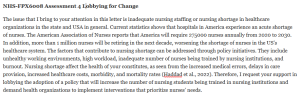 NHS-FPX6008 Assessment 4 Lobbying for Change
