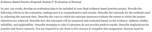 Evidence-Based Practice Proposal-Section F: Evaluation of Process