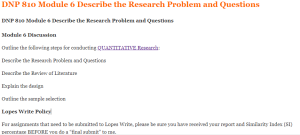 DNP 810 Module 6 Describe the Research Problem and Questions