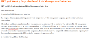 HLT 308 Week 4 Organizational Risk Management Interview