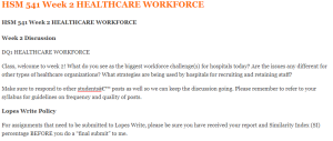 HSM 541 Week 2 HEALTHCARE WORKFORCE