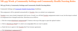 NR 443 Week 4 Community Settings and Community Health Nursing Roles
