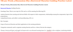 NR 501 Week 5 Discussion DQ 2 Borrowed Theories Guiding Practice Latest