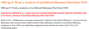 NRS 437V Week 4 Analysis of an Ethical Dilemma (Part One) NEW