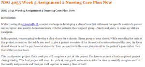 NSG 4055 Week 5 Assignment 2 Nursing Care Plan New