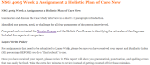 NSG 4065 Week 2 Assignment 2 Holistic Plan of Care New
