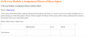 NUR 2790 Module 3 Assignment Phases of Burn Injury