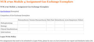 NUR 2790 Module 4 Assignment Gas Exchange Exemplars