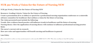 NUR 391 Week 5 Vision for the Future of Nursing NEW