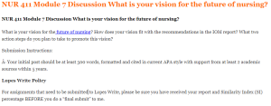 NUR 411 Module 7 Discussion What is your vision for the future of nursing