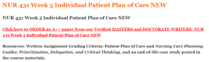 NUR 431 Week 5 Individual Patient Plan of Care NEW