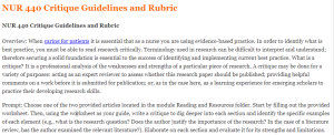 NUR 440 Critique Guidelines and Rubric