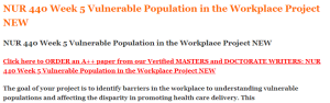 NUR 440 Week 5 Vulnerable Population in the Workplace Project NEW