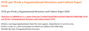 NUR 492 Week 3 Organizational Structure and Culture Paper NEW