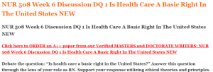 NUR 508 Week 6 Discussion DQ 1 Is Health Care A Basic Right In The United States NEW