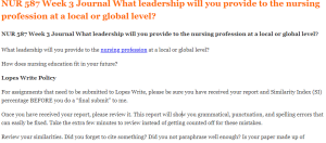 NUR 587 Week 3 Journal What leadership will you provide to the nursing profession at a local or global level