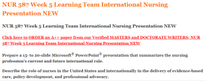 NUR 587 Week 5 Learning Team International Nursing Presentation NEW