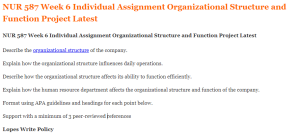 NUR 587 Week 6 Individual Assignment Organizational Structure and Function Project Latest