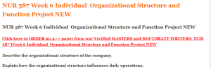 NUR 587 Week 6 Individual  Organizational Structure and Function Project NEW