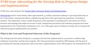 NURS 6050 Advocating for the Nursing Role in Program Design and Implementation