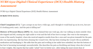 NURS 6512 Digital Clinical Experience (DCE) Health History Assessment