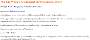 PSY 230 Week 6 Assignment Motivation Evaluation