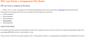 PSY 240 Week 2 Assignment The Brain