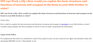 PSY 240 Week 3 DQ 1 How would you explain the basic structures and functions of neurons and synapses in the brain to your little brother or sister