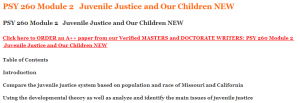 PSY 260 Module 2   Juvenile Justice and Our Children NEW