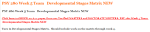 PSY 280 Week 5 Team   Developmental Stages Matrix NEW