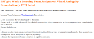 PSY 360 Week 2 Learning Team Assignment Visual Ambiguity Presentation (2 PPT) Latest