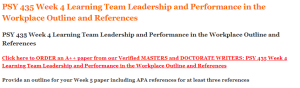 PSY 435 Week 4 Learning Team Leadership and Performance in the Workplace Outline and References