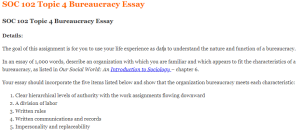 SOC 102 Topic 4 Bureaucracy Essay