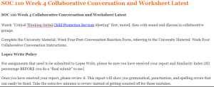 SOC 110 Week 4 Collaborative Conversation and Worksheet Latest