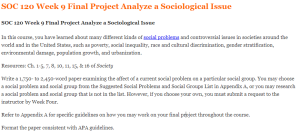 SOC 120 Week 9 Final Project Analyze a Sociological Issue