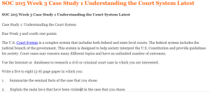 SOC 205 Week 3 Case Study 1 Understanding the Court System Latest