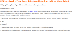 SOC 305 Week 5 Final Paper Effects and Solutions to Drug Abuse Latest