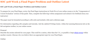 SOC 308 Week 3 Final Paper Problem and Outline Latest