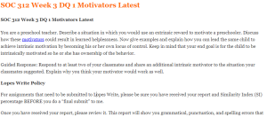 SOC 312 Week 3 DQ 1 Motivators Latest