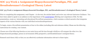 SOC 313 Week 2 Assignment Biopsychosocial Paradigm, PIE, and Bronfenbrenner’s Ecological Theory Latest