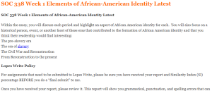 SOC 338 Week 1 Elements of African-American Identity Latest