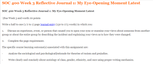 SOC 400 Week 3 Reflective Journal 1 My Eye-Opening Moment Latest