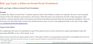 SOC 445 Topic 2 Ethics in Social Work Worksheet